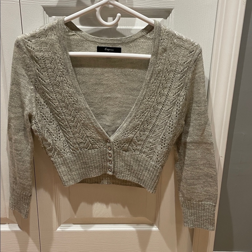 Express Silver Knit Cropped Cardigan